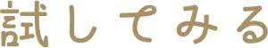 試してみる