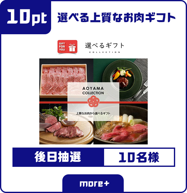 10ポイント 選べる上質なお肉ギフト 後日抽選 10名様