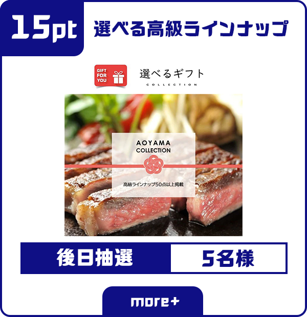 15ポイント 選べる高級ラインアップ 後日抽選 5名様