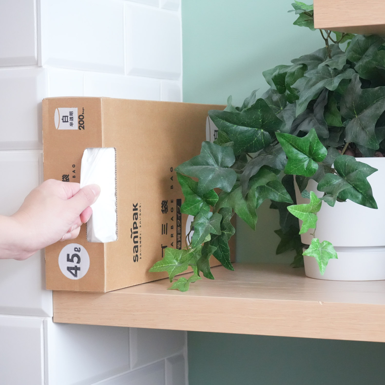 1枚ずつ取り出しやすいBOXタイプの画像