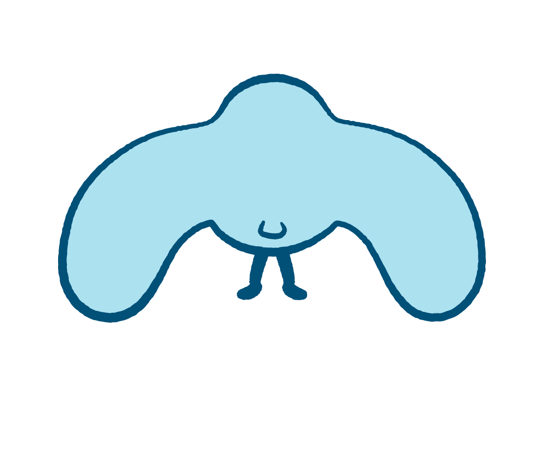 サニープロフィール３「実は小さい尾っぽがついているよ。」
